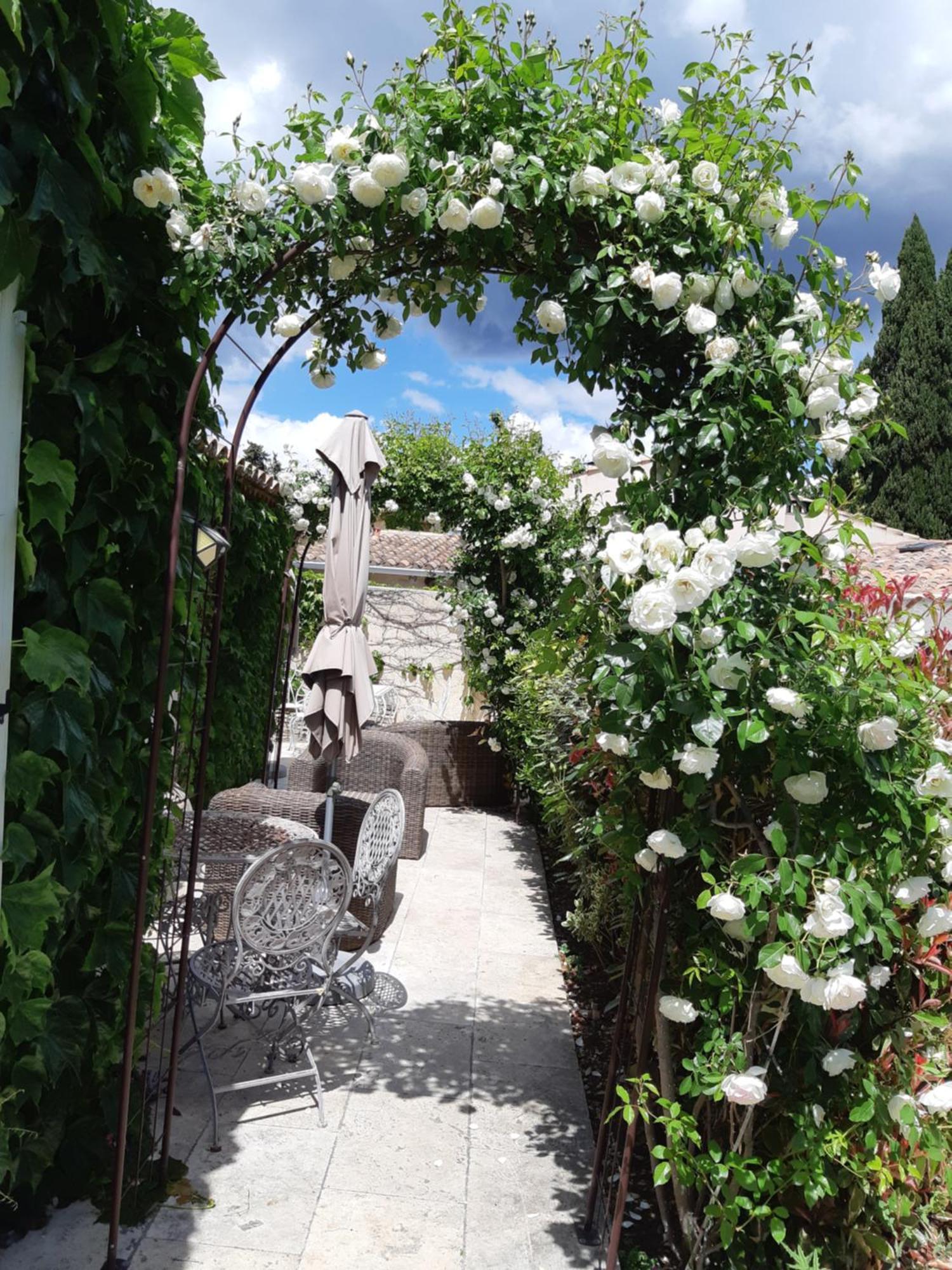 Le Chat Sur Le Toit Lourmarin Exterior photo